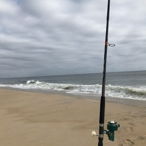 Meet your Posher, Rob